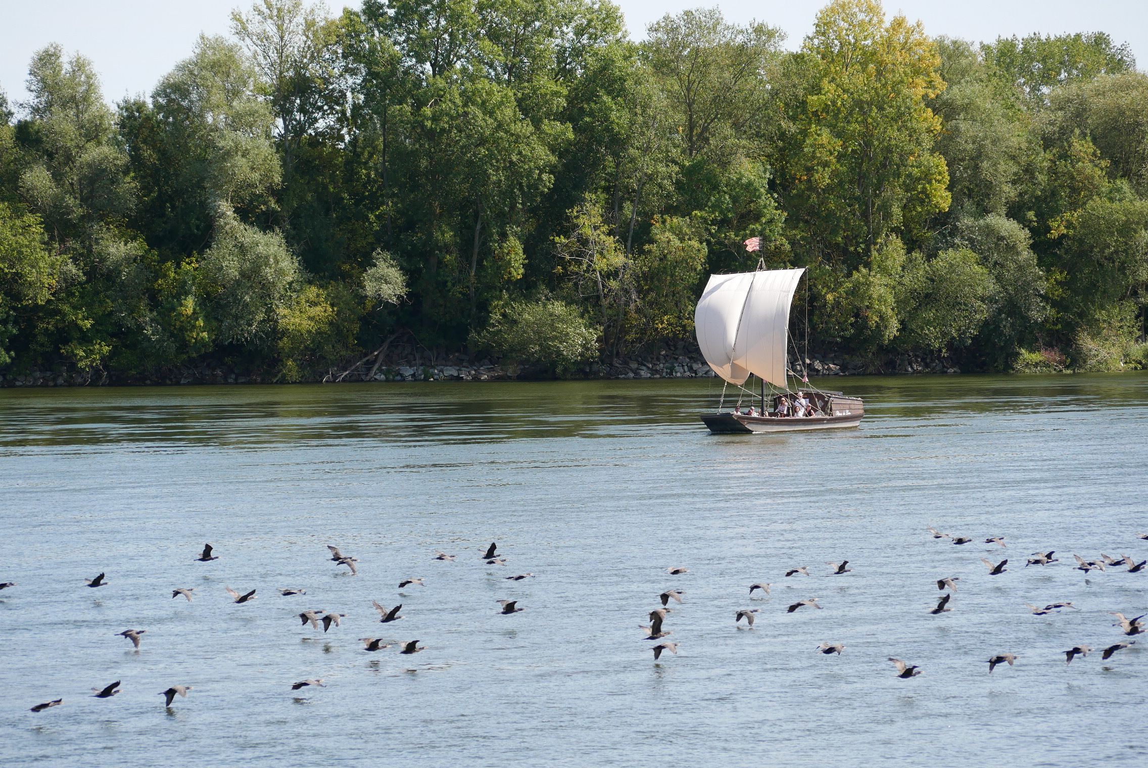 Image balade nature et patrimoine